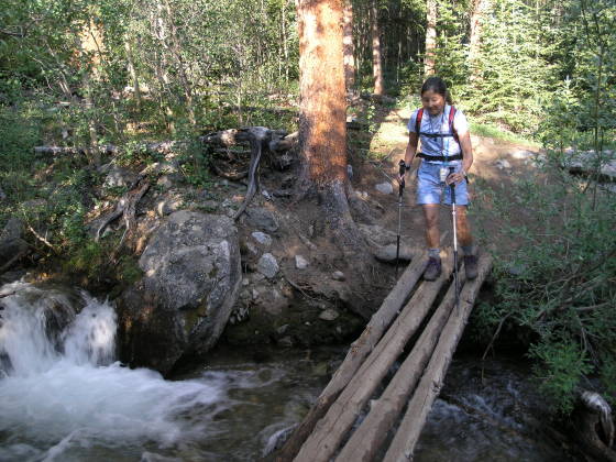 Crossing the log bridge