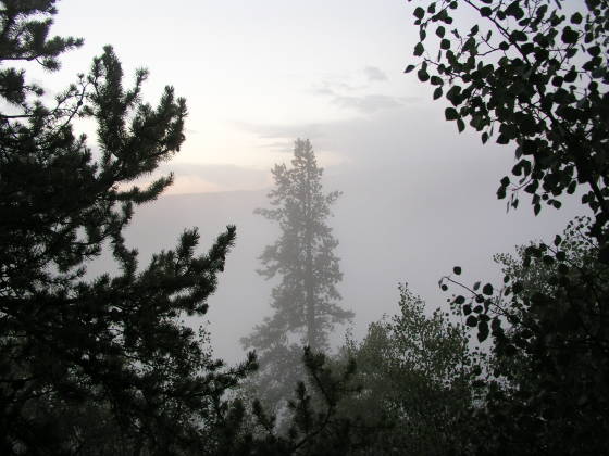 Fog engulfing the trail
