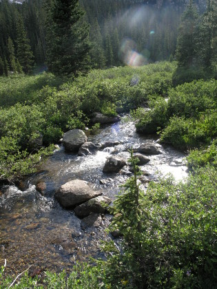 The stream nearby camp